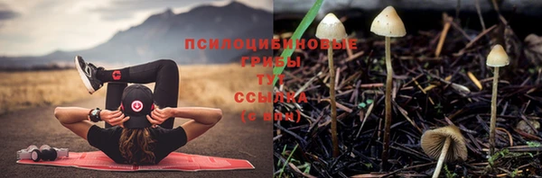 ALPHA-PVP Арсеньев