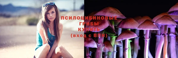 ALPHA-PVP Арсеньев